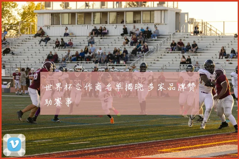 世界杯合作商名单揭晓 多家品牌赞助赛事