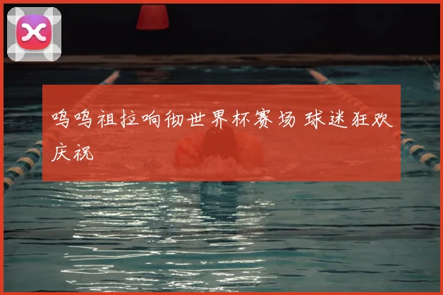呜呜祖拉响彻世界杯赛场 球迷狂欢庆祝