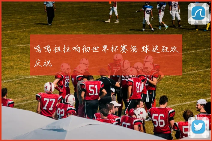 呜呜祖拉响彻世界杯赛场 球迷狂欢庆祝