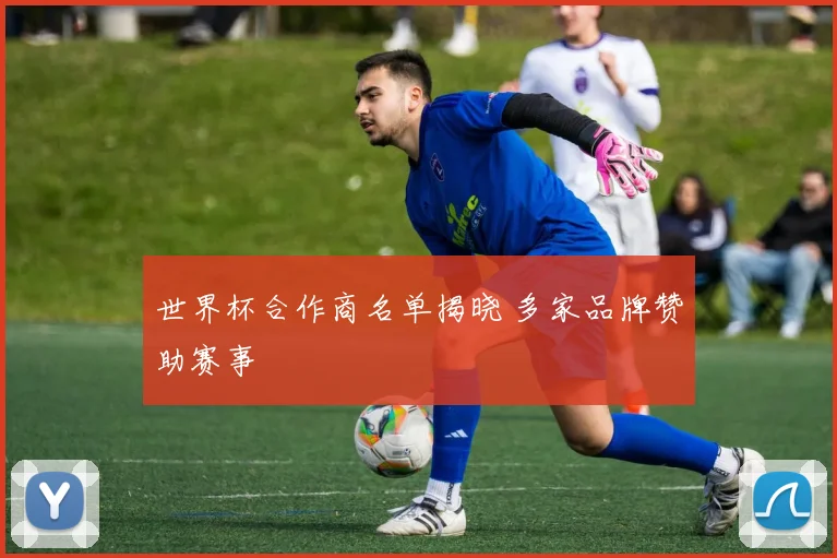 世界杯合作商名单揭晓 多家品牌赞助赛事