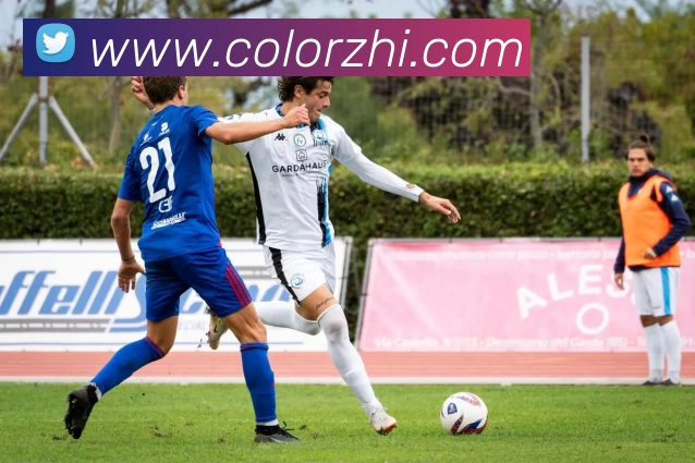 8868在线官网登录入口 - 8868.com - 官方网站首页服务体系